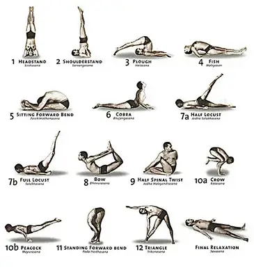 Mauve Yoga