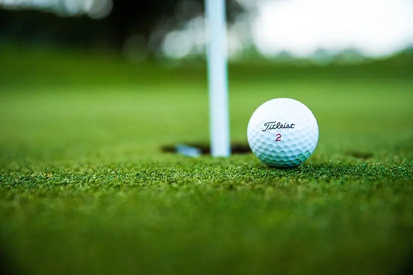 Ross Golf Club(Club Gailf Ross)