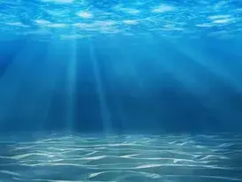 Canadian Underwater Inspection Services Ltd.