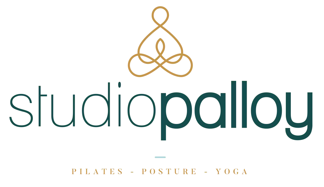 Studio Palloy