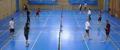 Viking Badminton Club