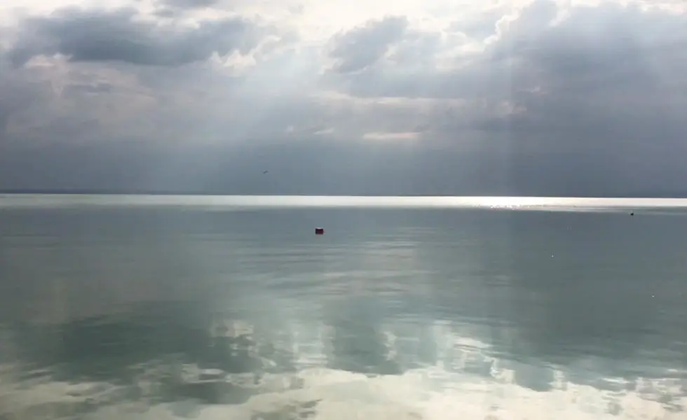 SKÄL CLUB 44