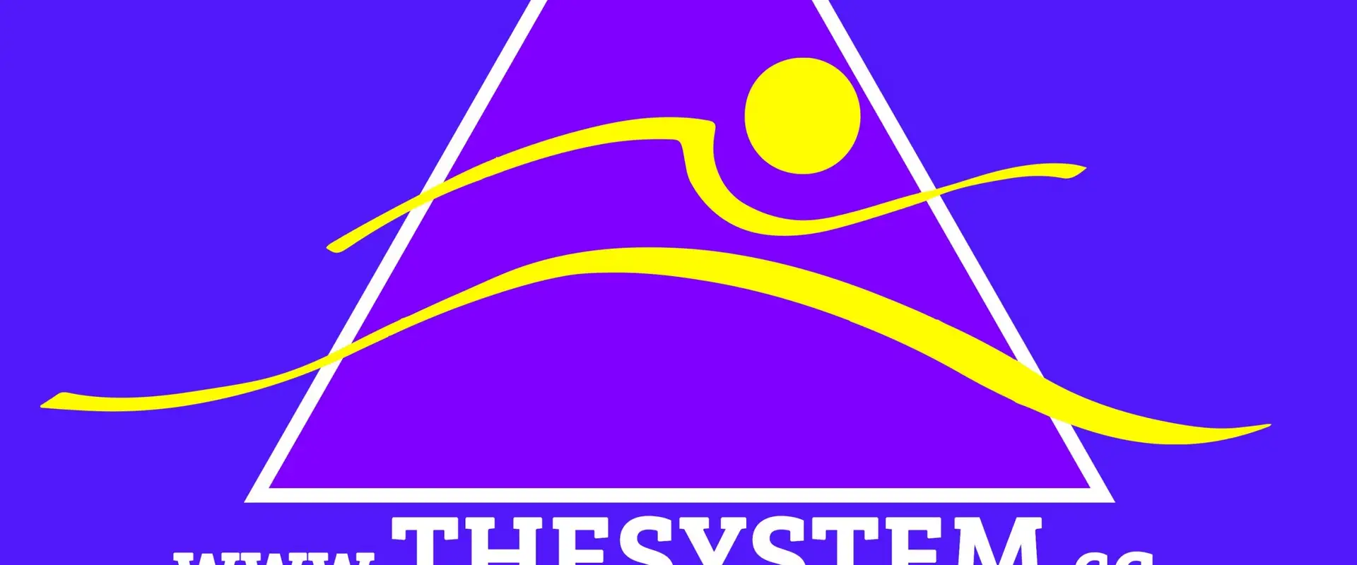 The System: The Art & Science of Coaching (Elite Athletic Performance)