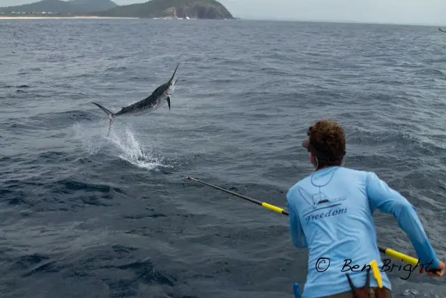 Haven Sport Fishing Charters