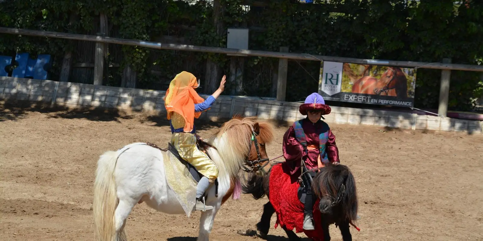 Le Galopin