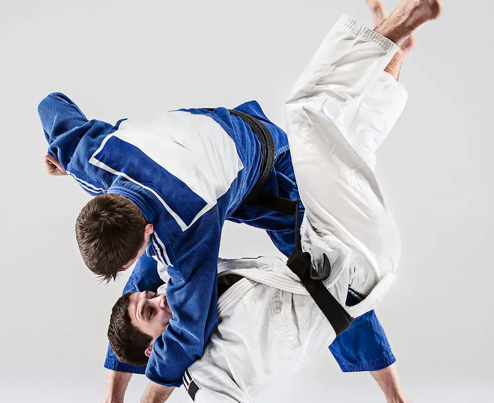 Dojo De Tullins Fures