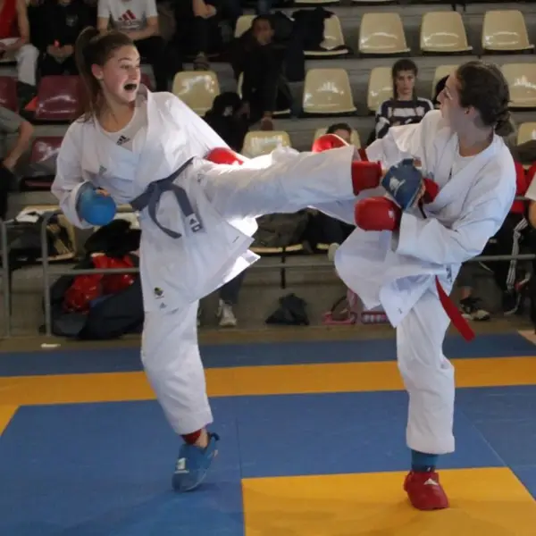 Budokai Brive
