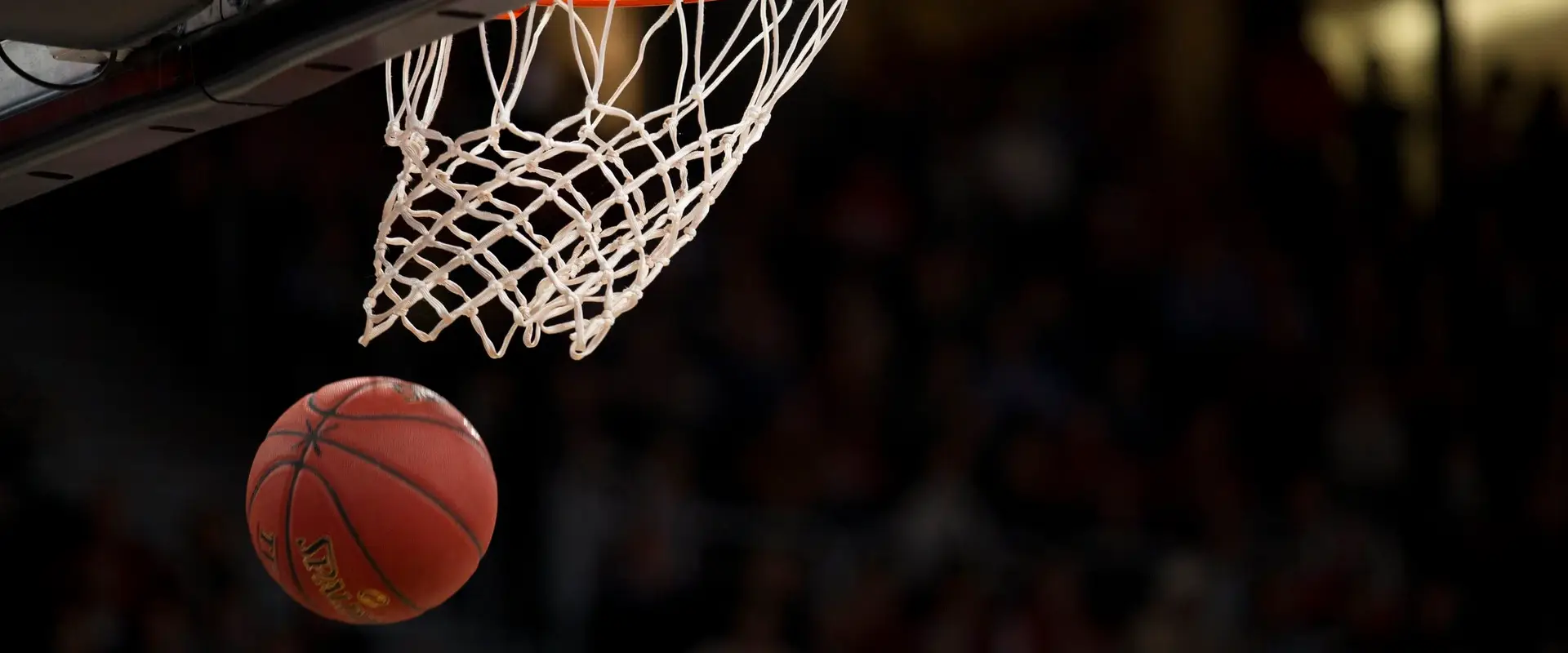 Dublin Raiders Basketball Club