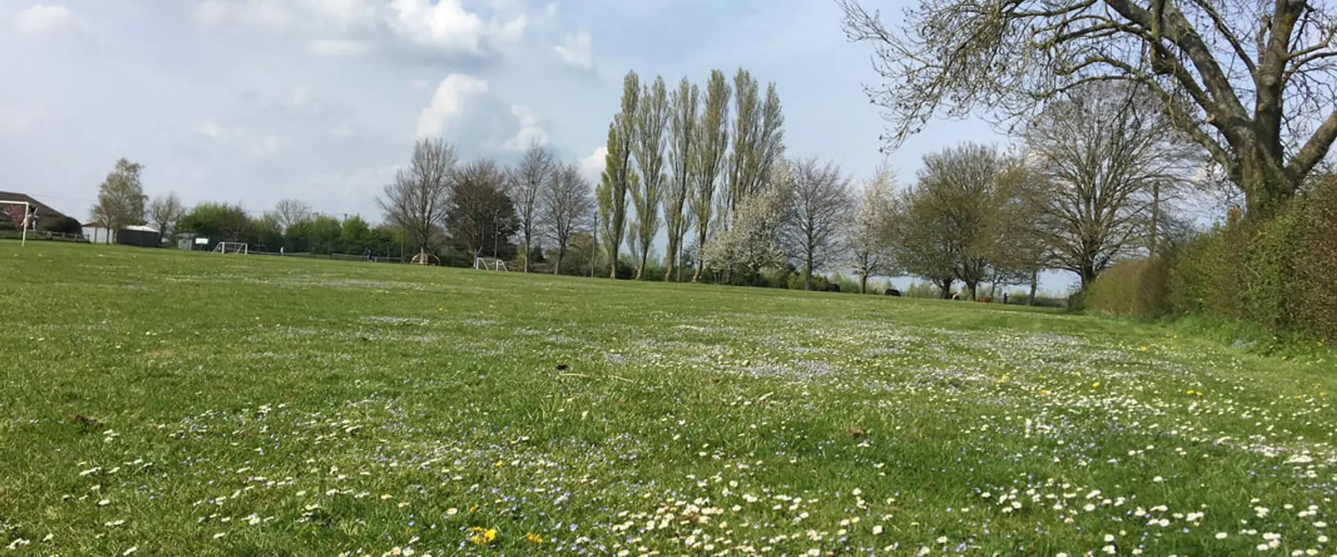 Seend Lye Field