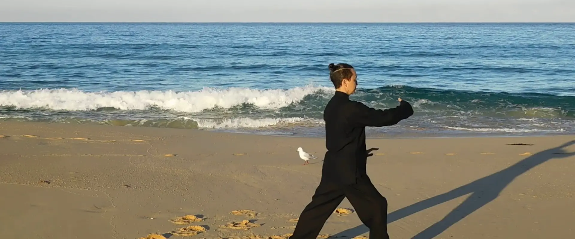 Sapphire Academy of Tai Chi & Meditation