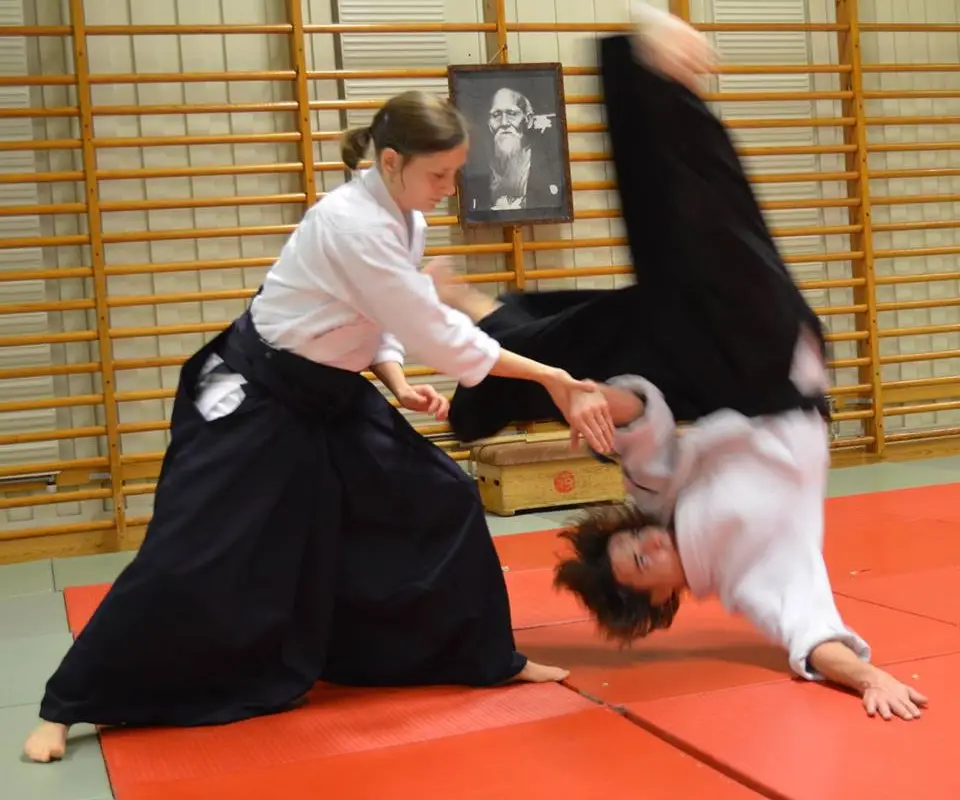 Aikido Club De Sannois