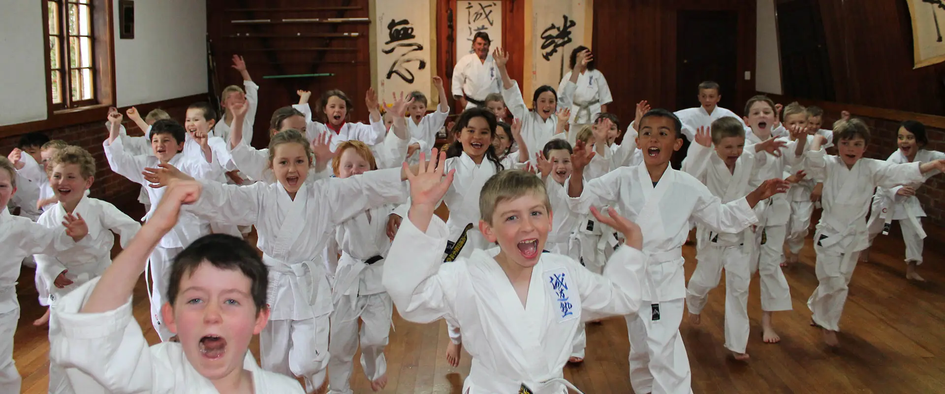Seido Karate