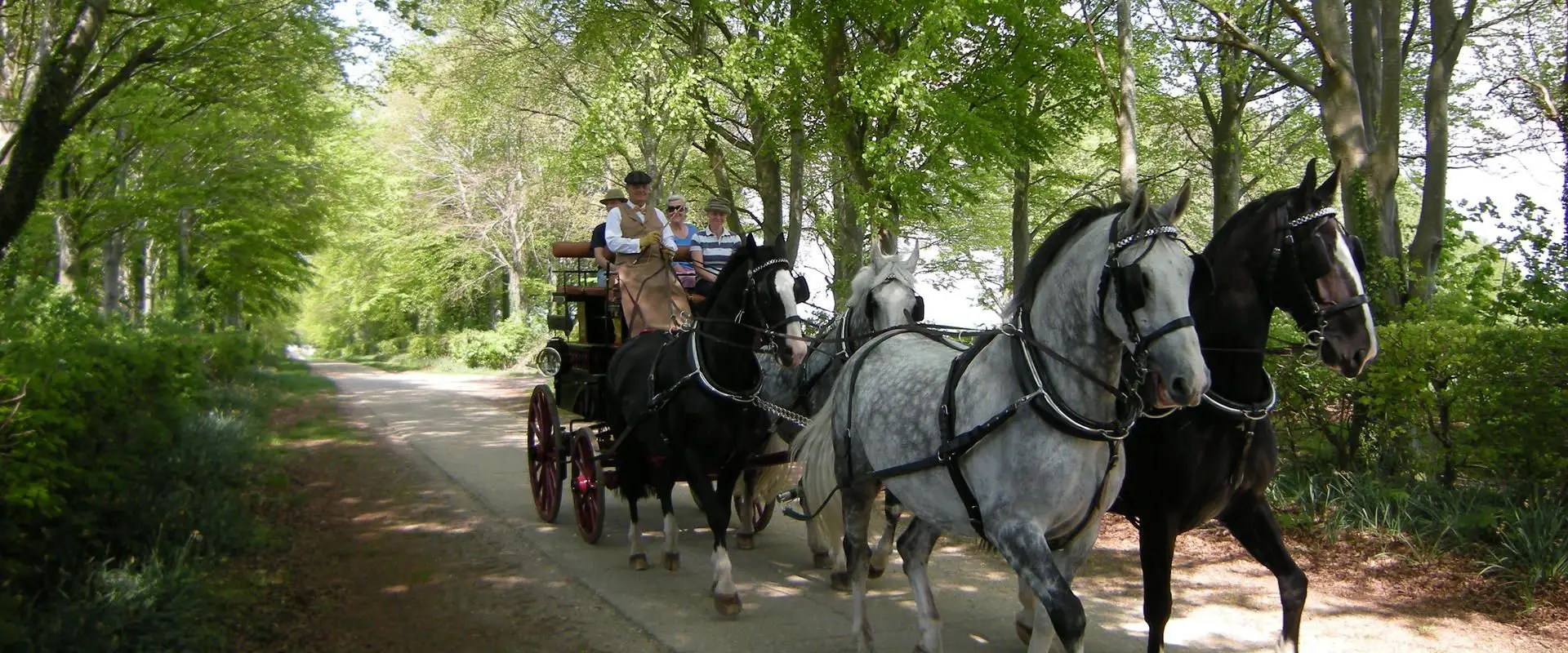 Rockbourne Ride