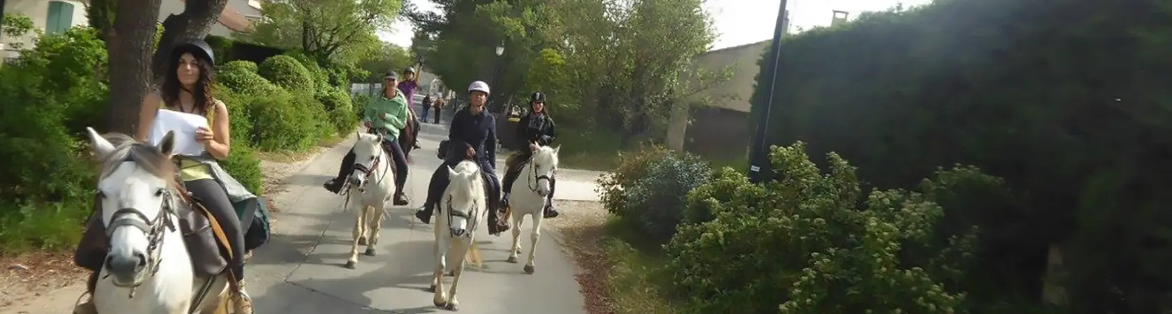 Equestrian Field Le Vieil Amandier