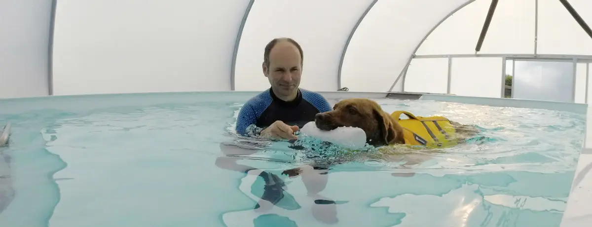 South Lakes Canine Hydrotherapy