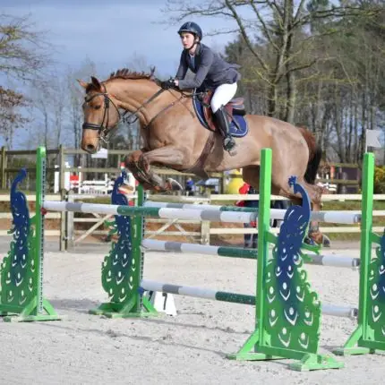 Club Hippique Niortais