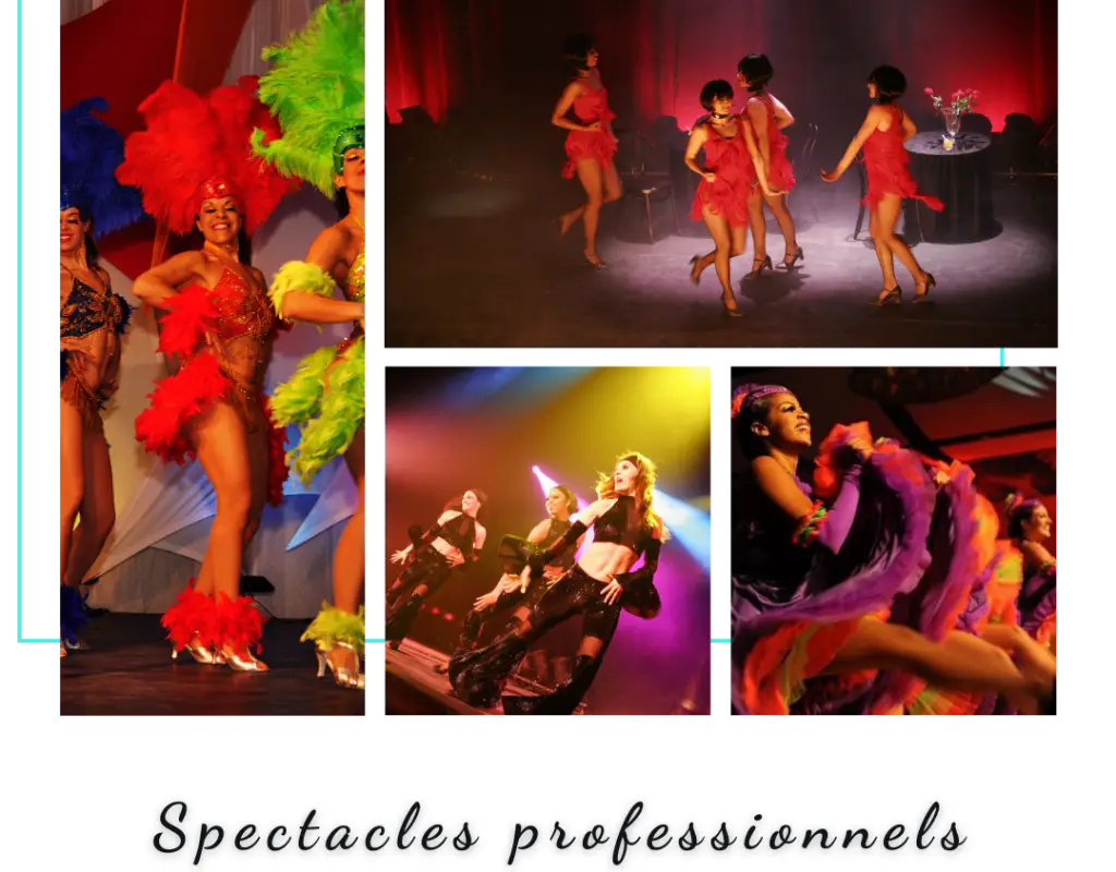 Company Et Ballet School Sylviaera
