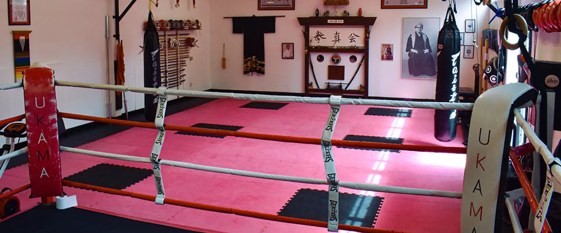 The Dojo Woking