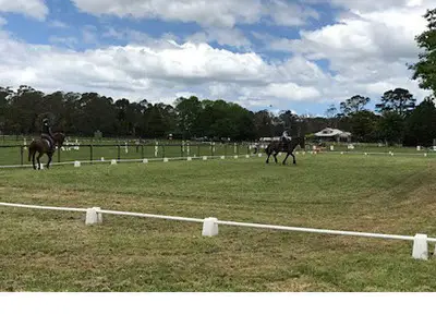 hollyhallhorseriding