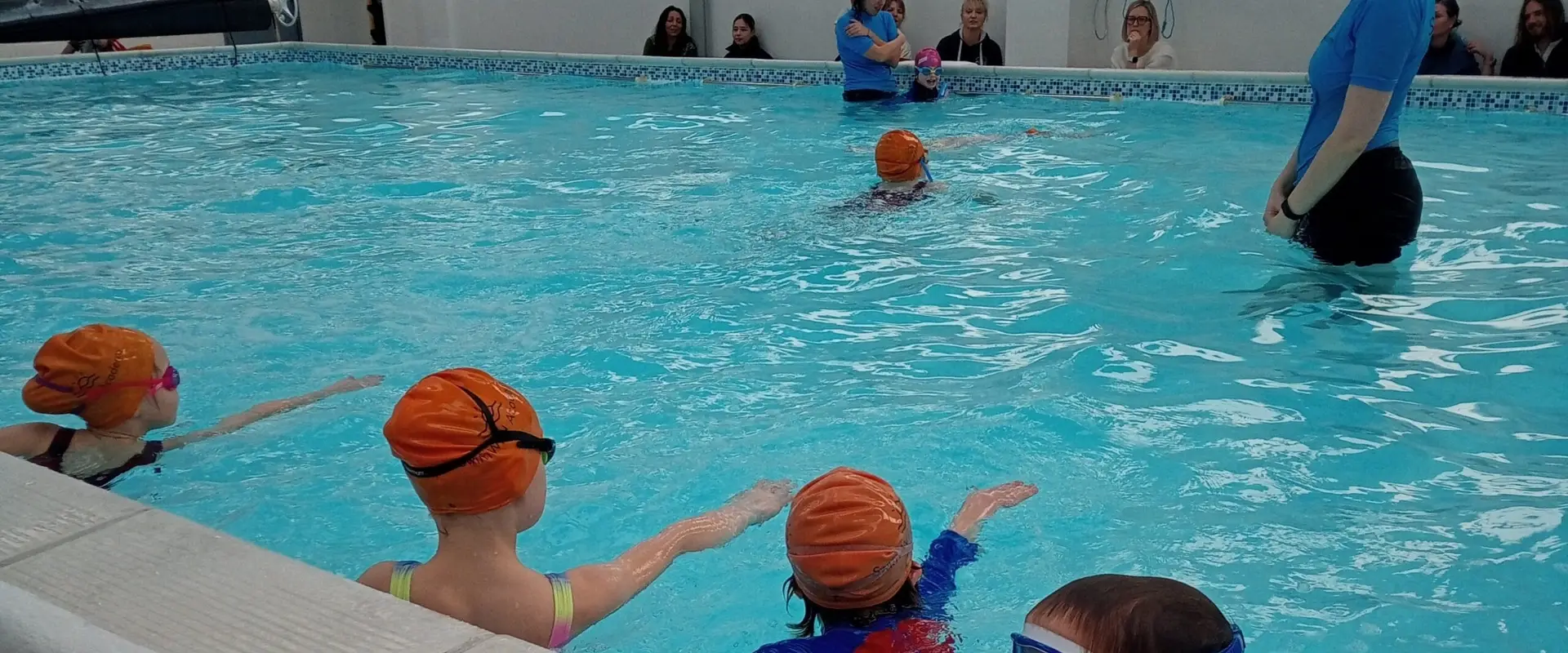 Swim Wild Academy Falmouth