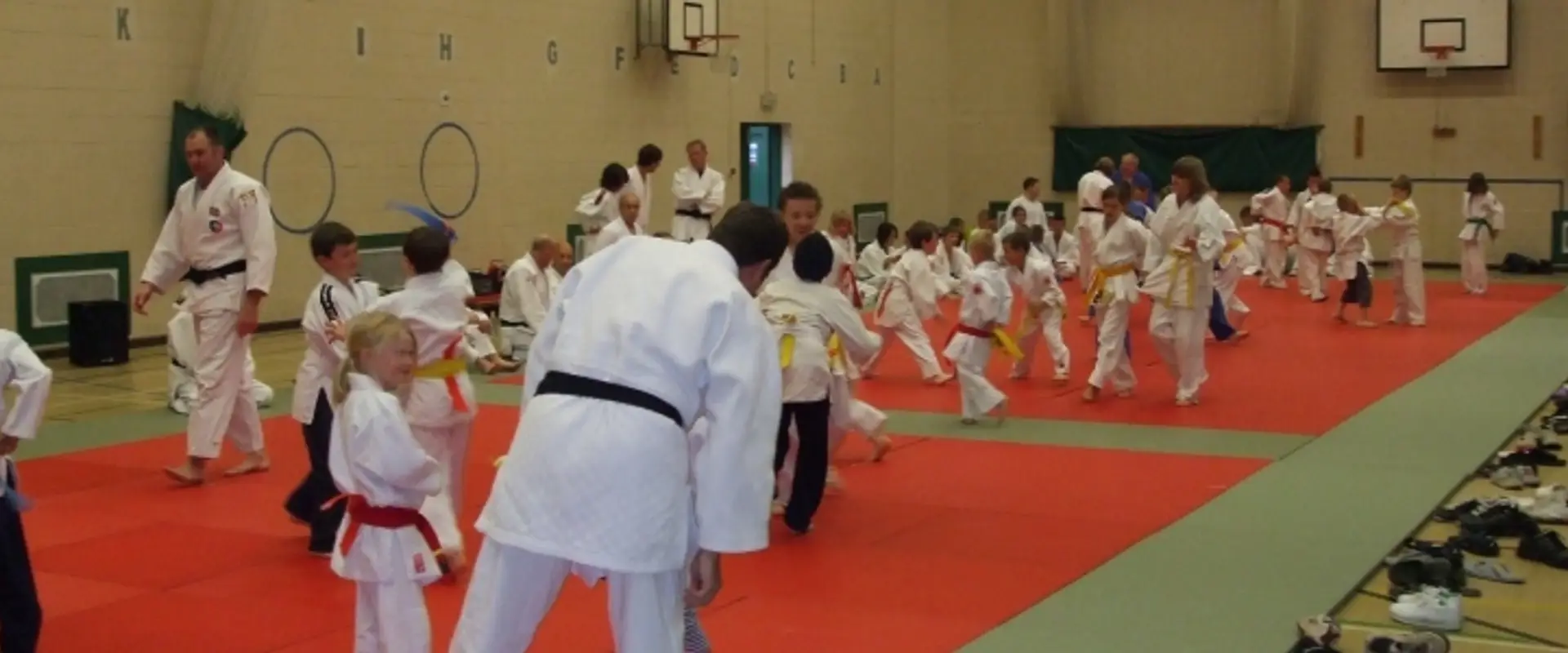 The Amateur Judo Association