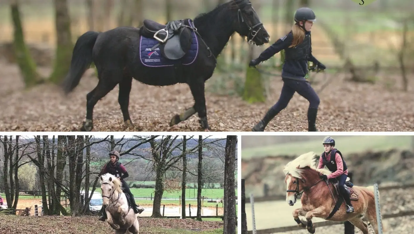 Equit Net