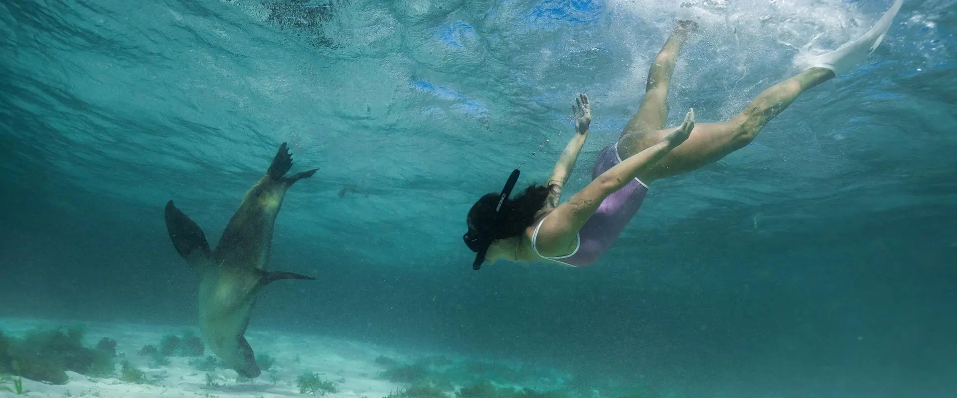Jurien Bay Oceanic - Sea Lion Tours and Charters