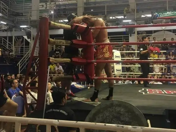 DB Traditional Muay Thai