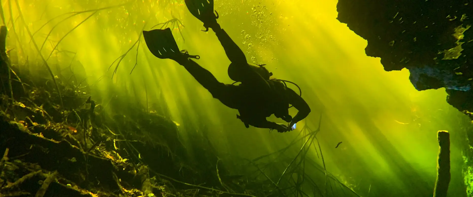 Diveworld Ltd
