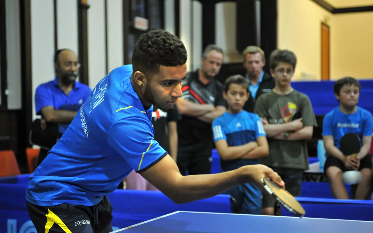 Hampstead Garden Suburb Table Tennis Club