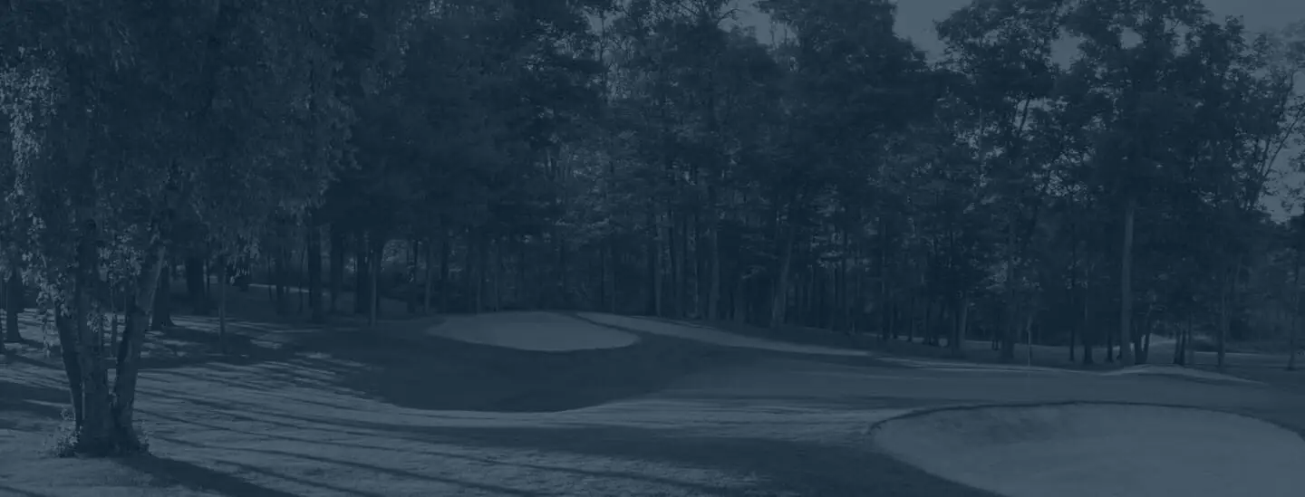 InHome Golf