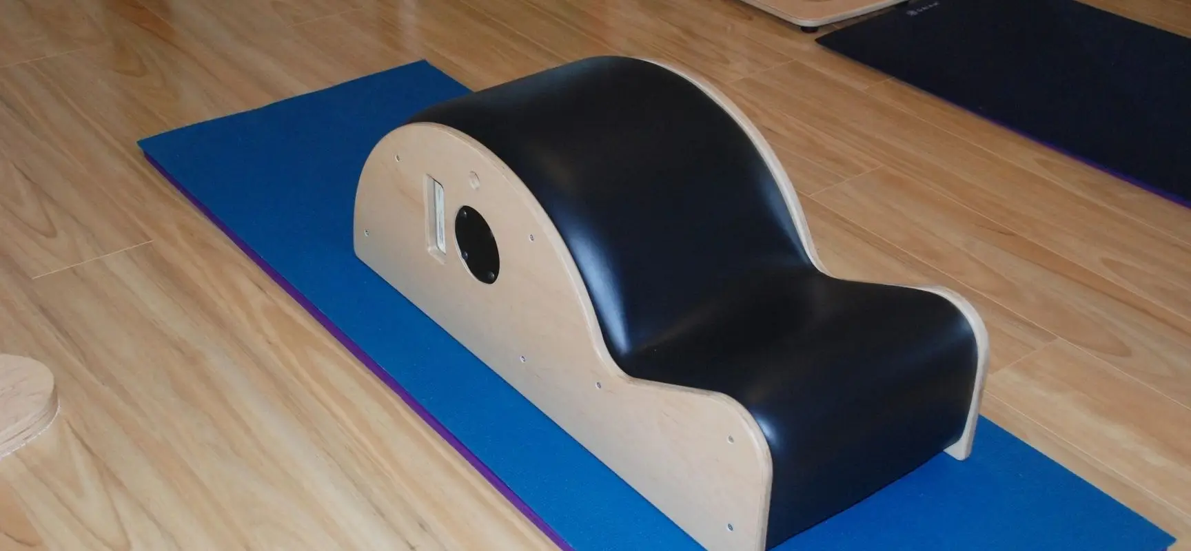 Pilates Pros