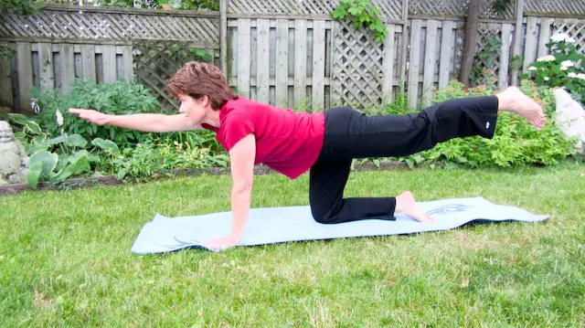 Sheepdog Yoga