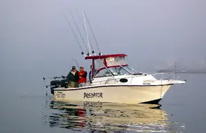Predator Charters