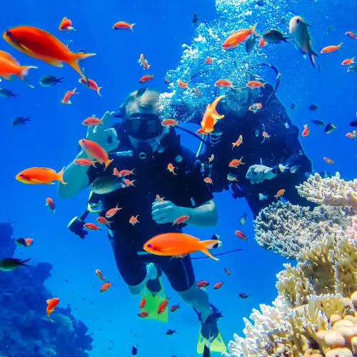 Scuba Store
