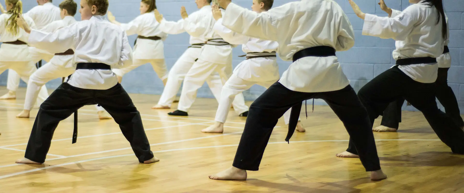 Shikari Karate Kai