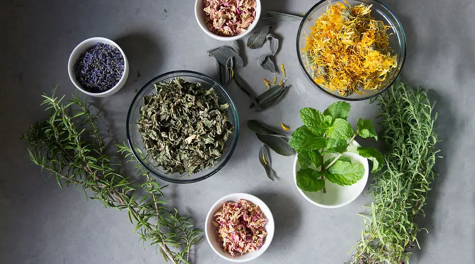 Sacred Natural Health- Naturopath | Reiki Practitioner