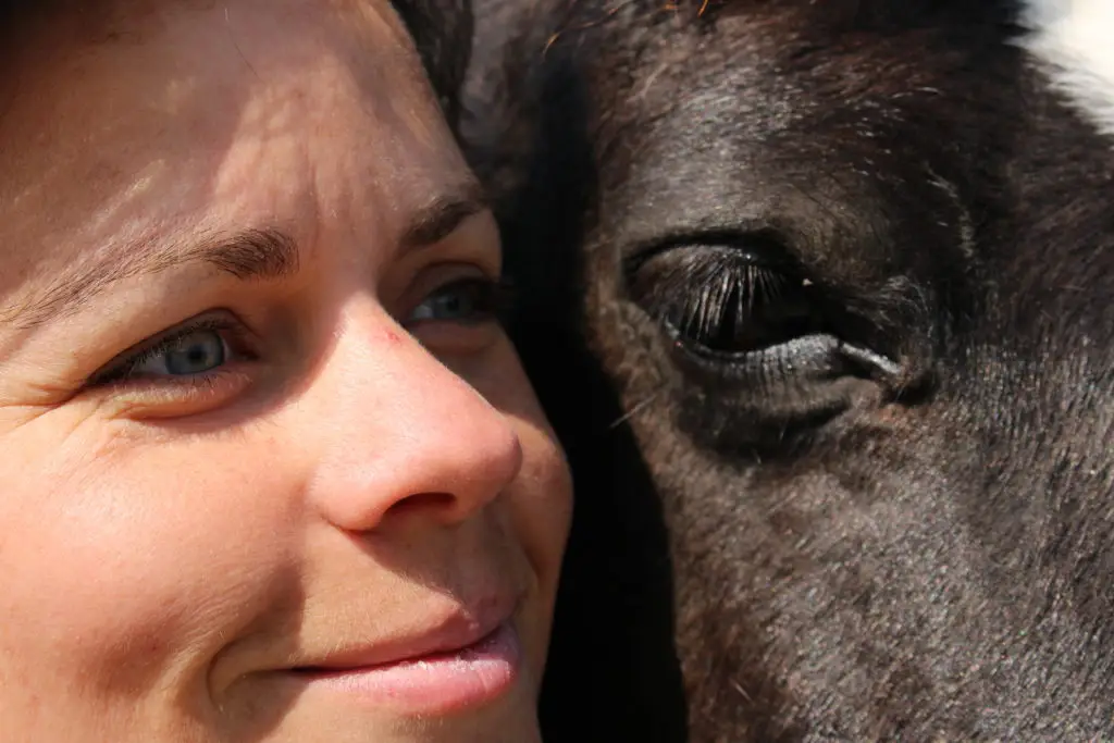 Regards Pluriels Equicoaching Gonneville-sur-Mer