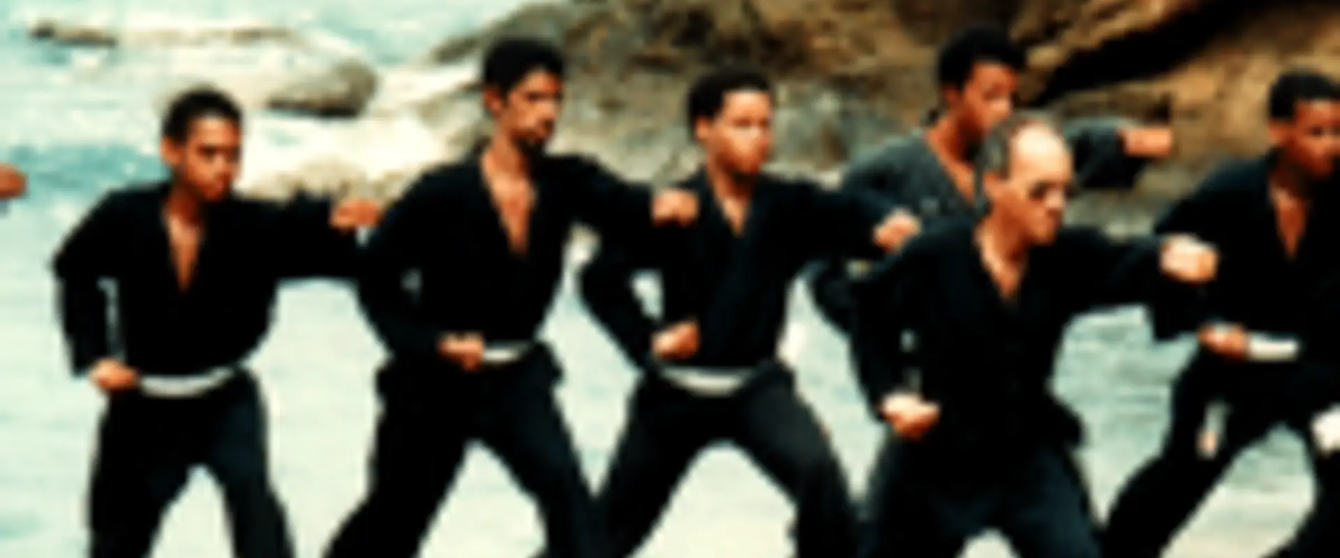La Voie Du Loup - Kung Fu YangKiDo