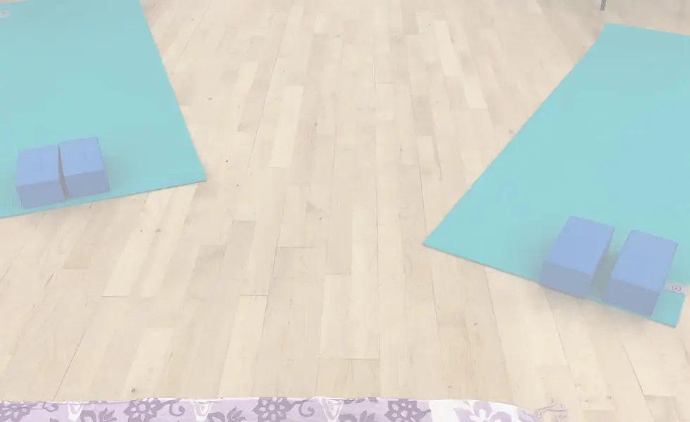 Pregnancy yoga classes - the yoga midwife