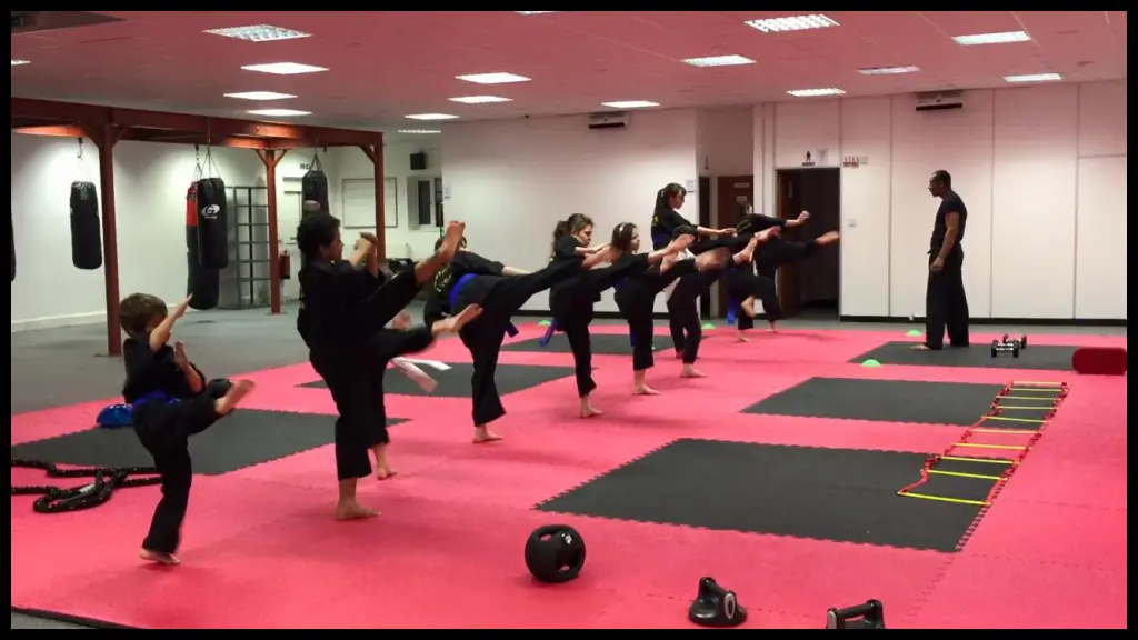 Pro Martial Arts