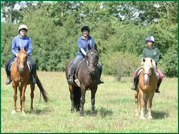 Twinstead Riding School