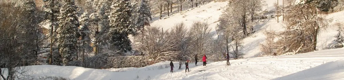 Ski-Allenheads