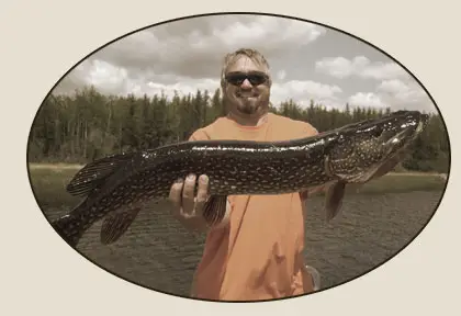 Pickerel Arm Camp