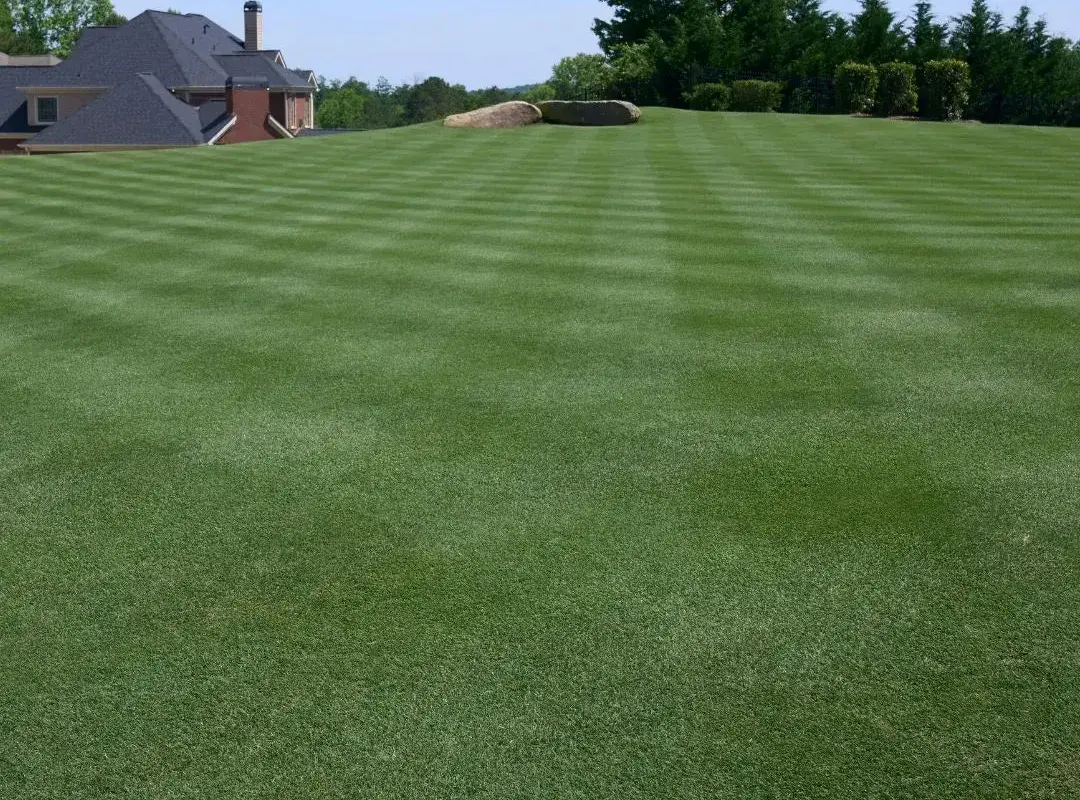 Golf & Course