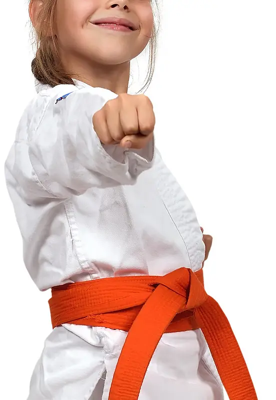Little Paxton Karate Academy
