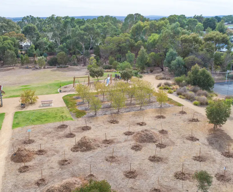 Bassett Street Reserve