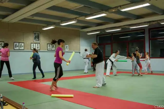 Club Sportif de Karaté d'Oyonnax