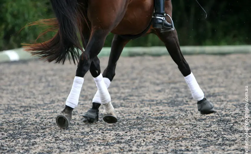 Caboolture Dressage Group