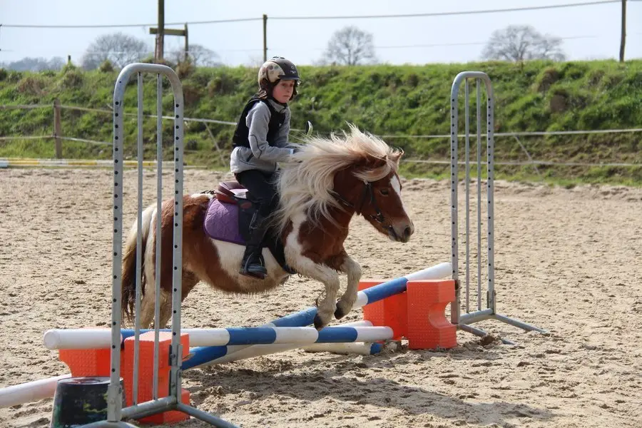 PONEY CLUB DE LA TOUCHE BOUILLIE